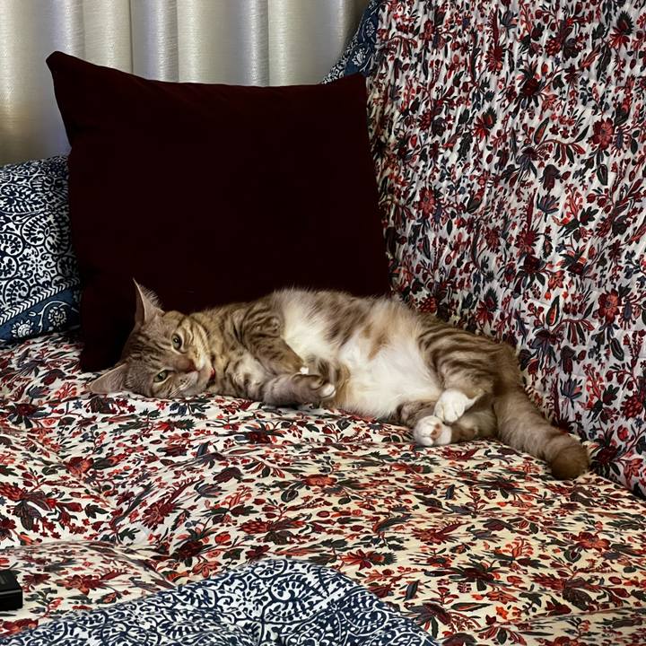 7d766a0b 58b6 49fa acd0 dc24cc1601e6 1662988097987