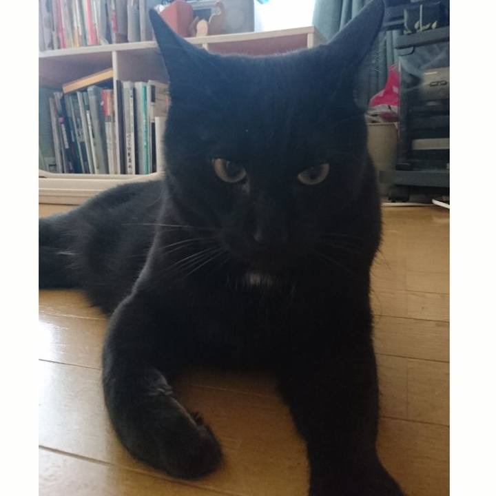 7d76d41e 6e1a 41e9 b925 de385869b978 1556506967708