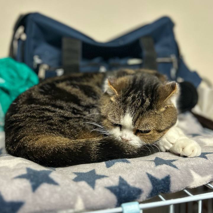 7d771221 1c0b 4558 abbc e8bbe3144ea4 1761082827779