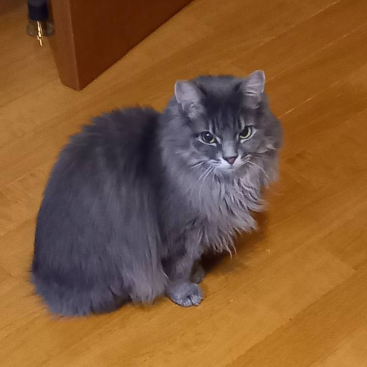 7d774936 e965 4f56 aff2 326b6d871ec5 1673218734392