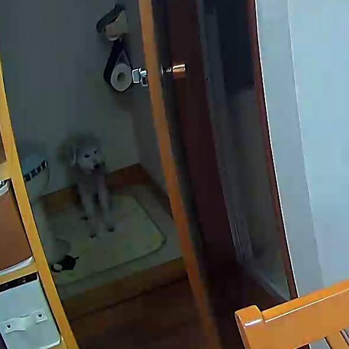 7d776921 d91e 4fb6 9ccc 2c6ab433b0aa 1623811239331