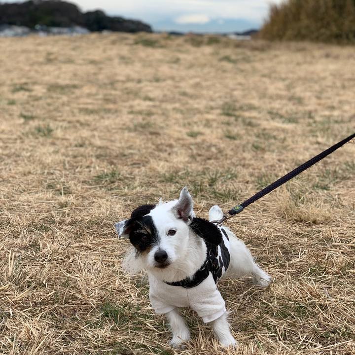 7d77b671 37ca 4fc4 a906 aad672a17238 1737941687514