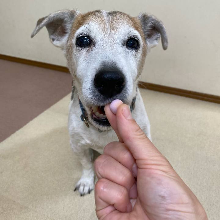 7d77de8f 3303 4d76 9685 fe373e600476 1656219095226