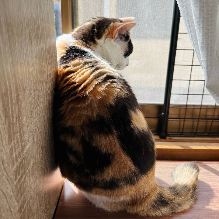 7d77e7f4 f02b 4c14 9a9f 871fd6ca30ba 1713404546788