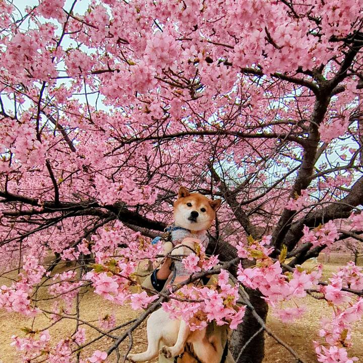 7d780648 710d 4c3a 9c2a 642d96205559 1772519795264