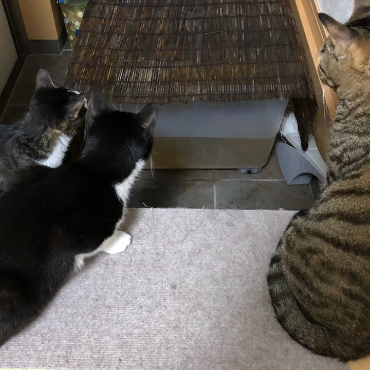 7d78099d 8a5f 4c83 b793 f54f9c787d7e 1538338865017