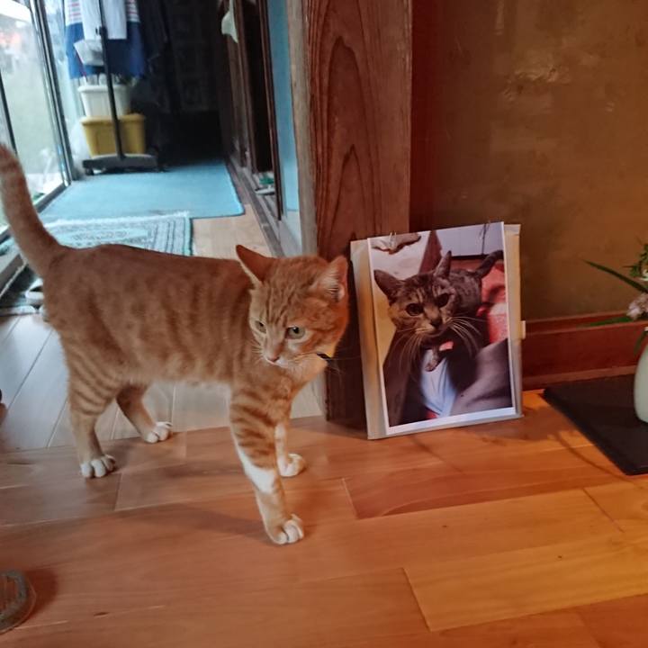 7d782587 8831 4aa5 b6fe ccef06d51455 1600160806090