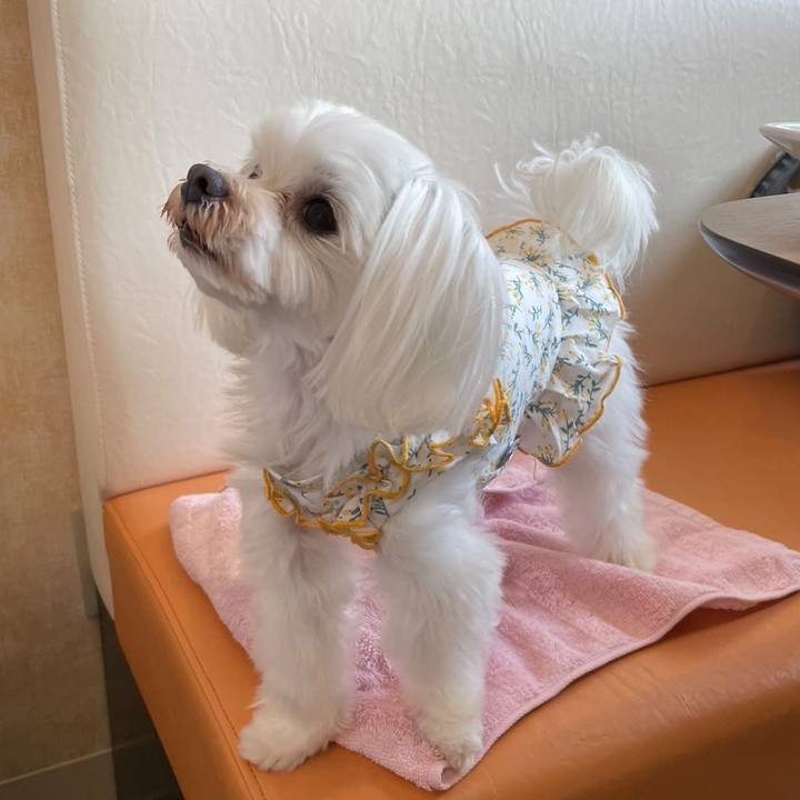 7d7825a8 9aa1 4702 bb2b 53bc9a1b82b5 1656892841725