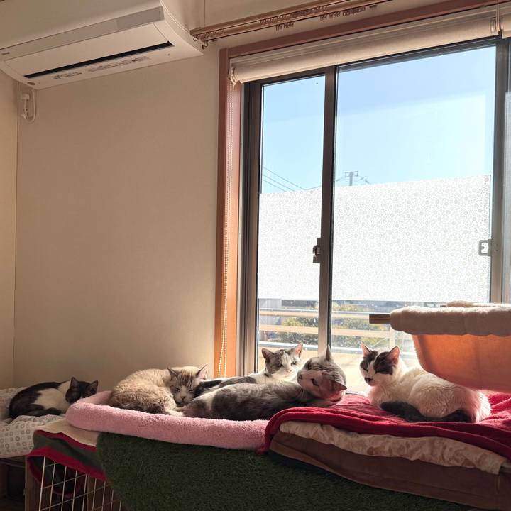 7d783299 ae63 4e0c 8263 603b27b80338 1769395087642