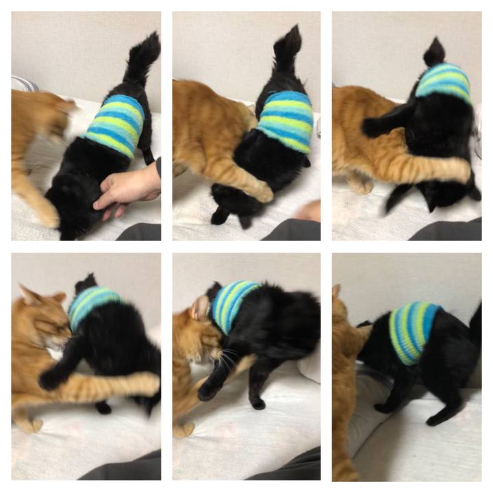 7d7856c0 6e1b 4d3c a30f cfac57205737 1607683192692