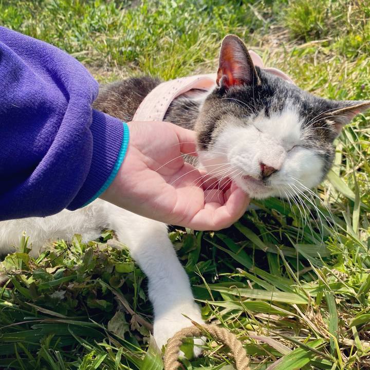 7d7874d7 39e6 4fb1 ac97 7daa8189197f 1619329641646