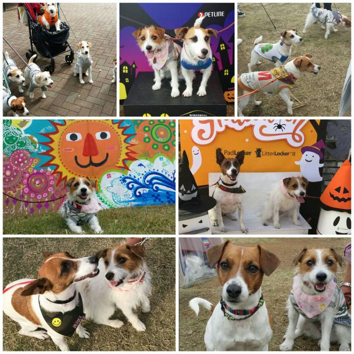 7d789676 61a1 49cd 8686 a3d82f5a84ab 1540784266325