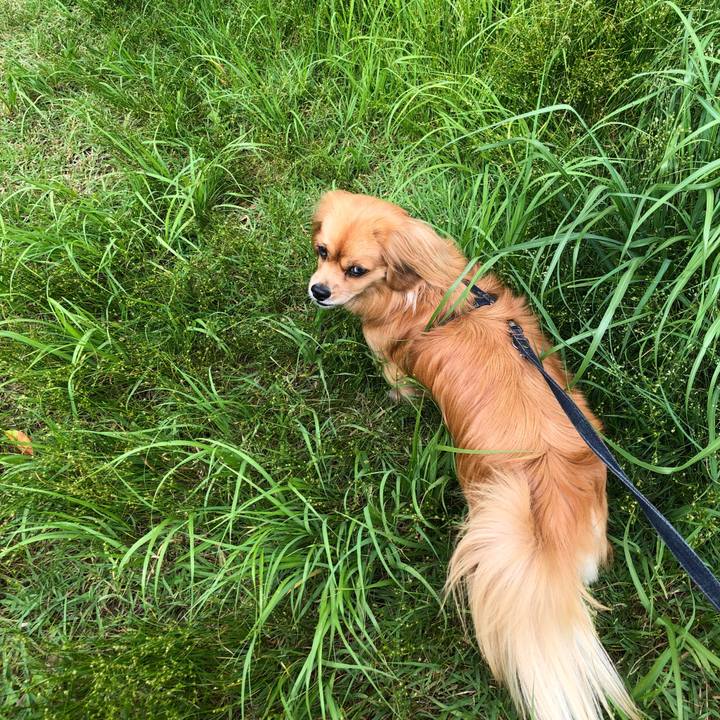 7d789c03 46dd 406b a648 24527a994fc5 1527295134885