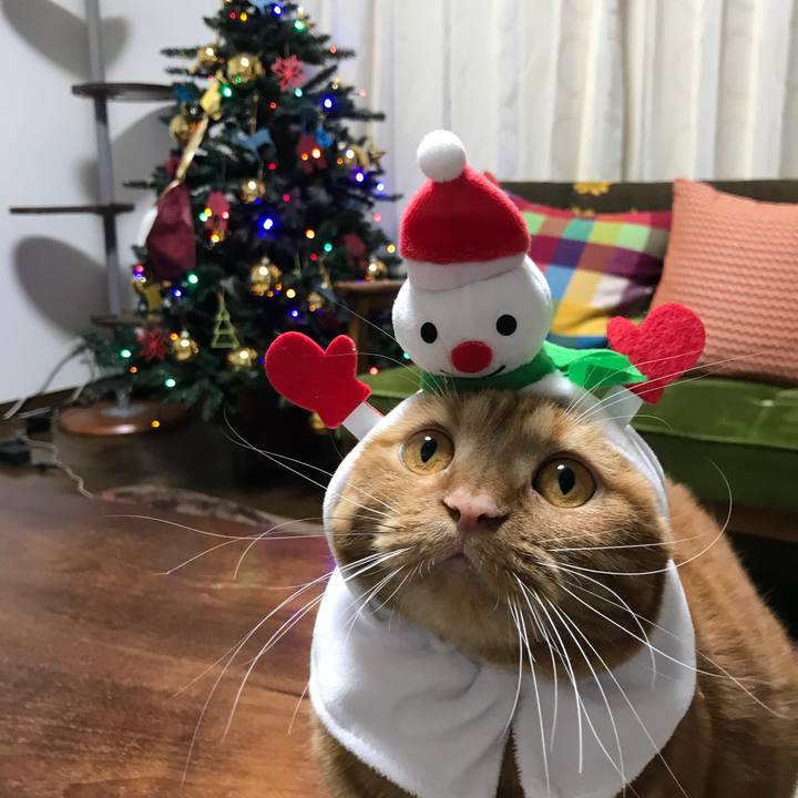 7d78a6ed 8403 4696 928a a777a7687769 1545644317759