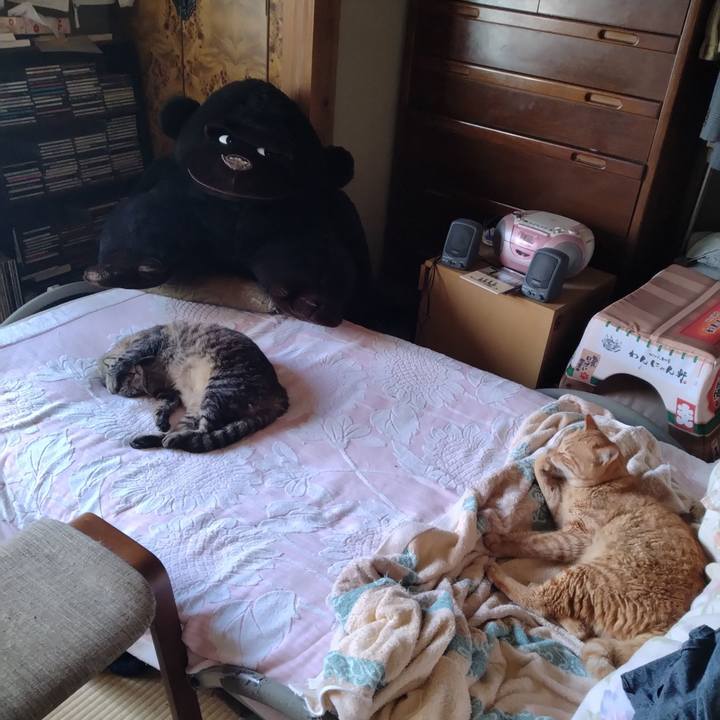 7d791028 a54f 4bce b070 d0dd91434e17 1688600750948