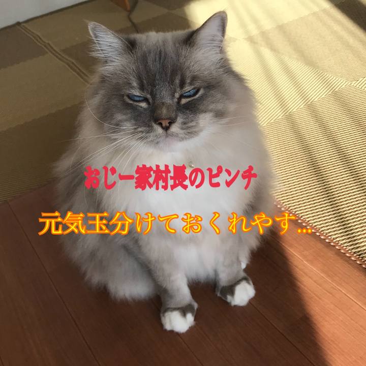 7d793b92 fd51 41ae a3dc 2c1183cfd5c2 1516891017418