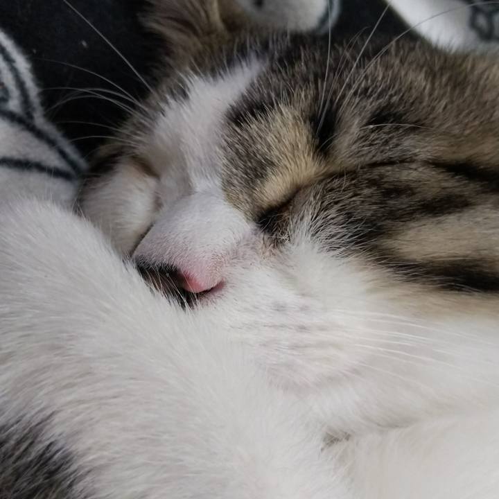 7d794363 9b2b 43b9 864e 09c2362a944a 1613129739058