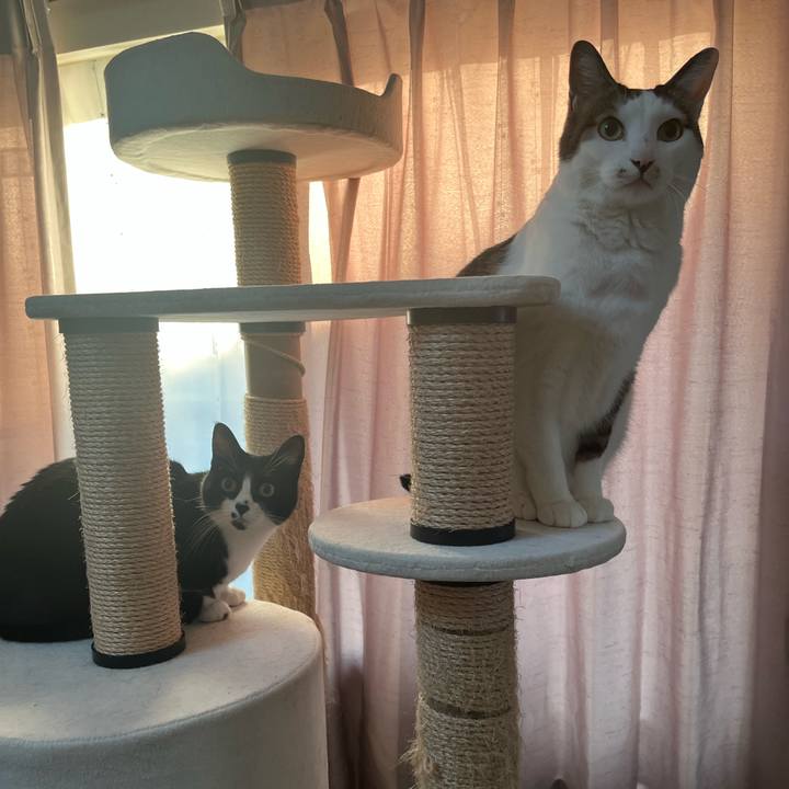 7d79883b 803e 4076 a710 c6349557bbfb 1705045951578