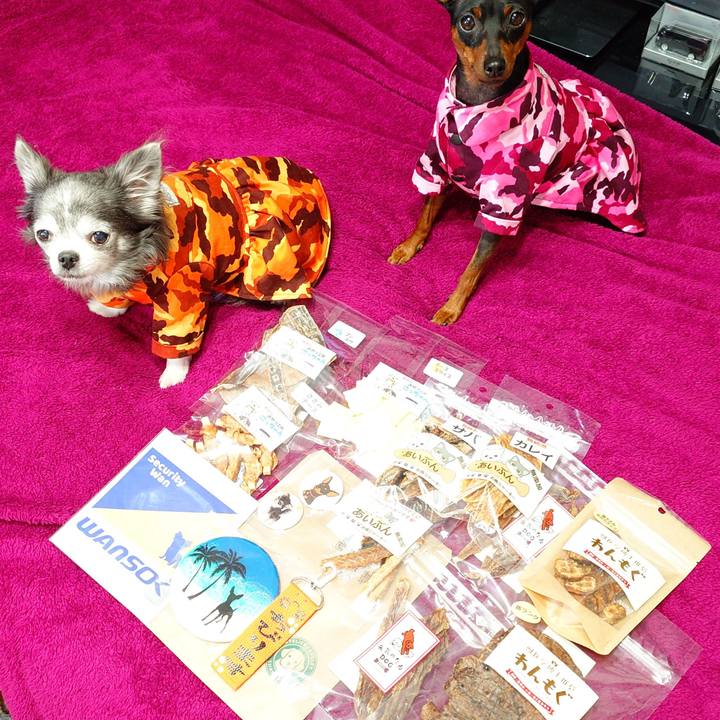 7d79909b a701 4da8 9efc 83369cf61519 1775975104686