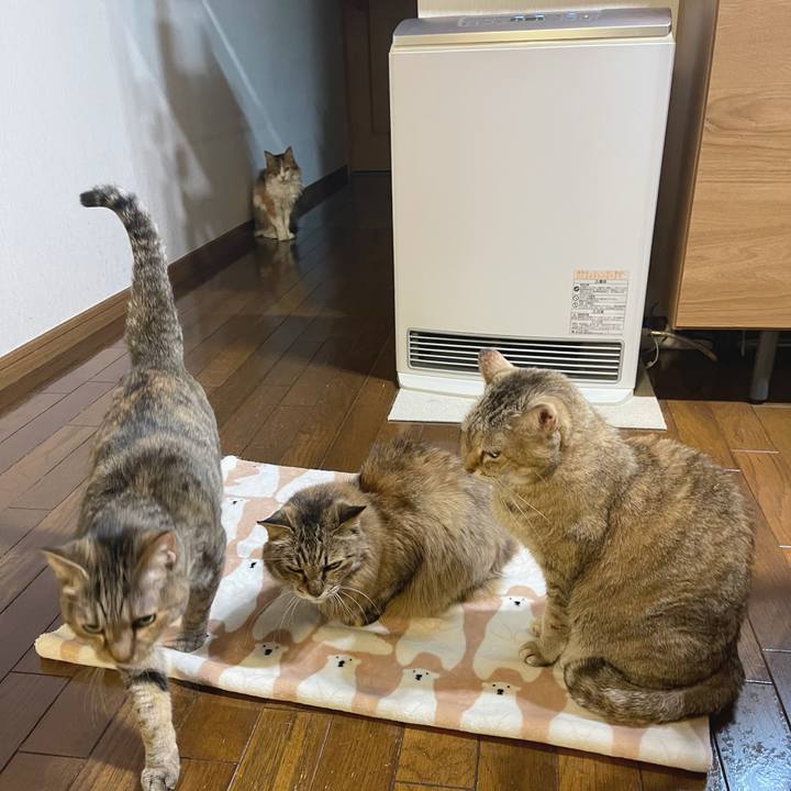 7d79e048 8a1b 4517 ac2d 56f9ea0a8f25 1767398839045