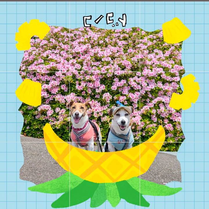 7d7a065a 95a6 40f9 96df bf7c695e80dd 1783457754996