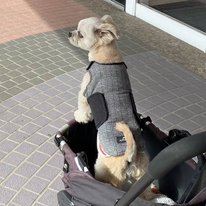 7d7a13cb b118 4285 a7f6 57d9b2738287 1644137309686