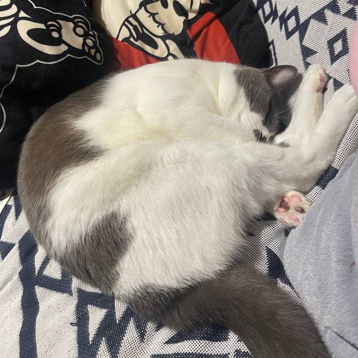 7d7b078f 65cd 4f6d 911e 23d13cde7c7d 1690199301642