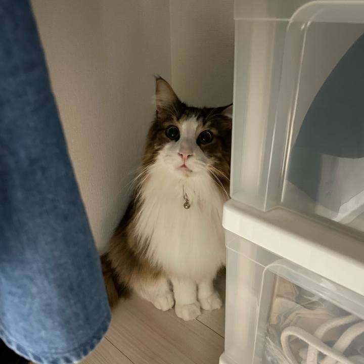 7d7b0b99 2569 4f10 a681 4a54ac39a2a9 1676404678794