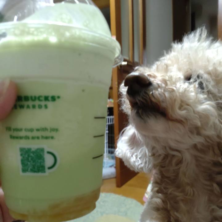 7d7b4b6a 5e4b 4c80 b60d 045c24cce587 1681564336769