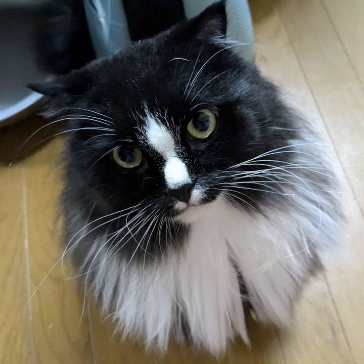 7d7b91e8 868b 47f5 9792 a902a0d8cbe1 1724793285261