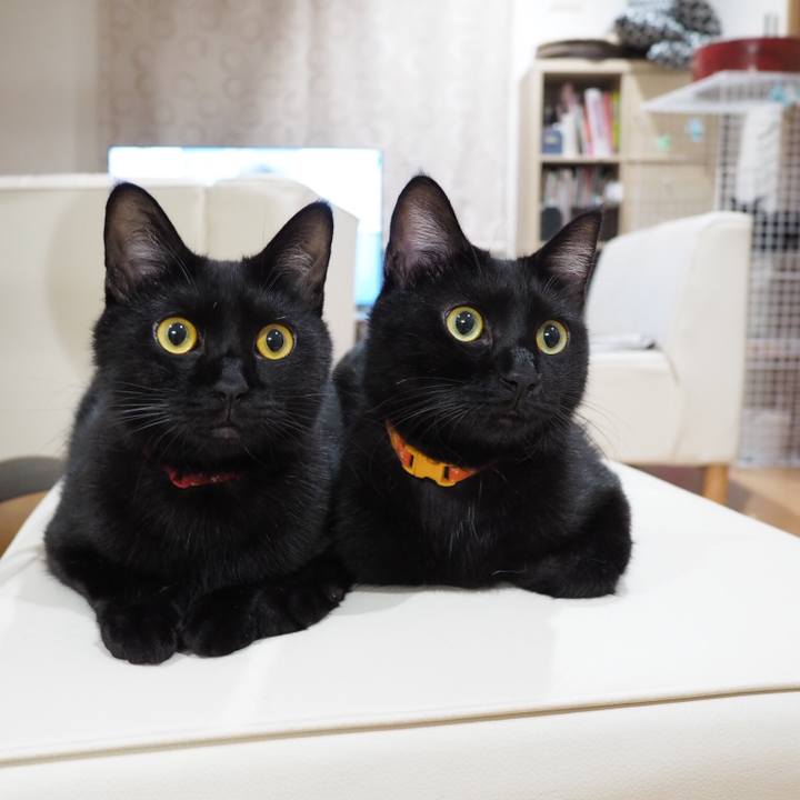 7d7bbbf0 01f6 42bb 8d2a 9729734715fa 1536976361463