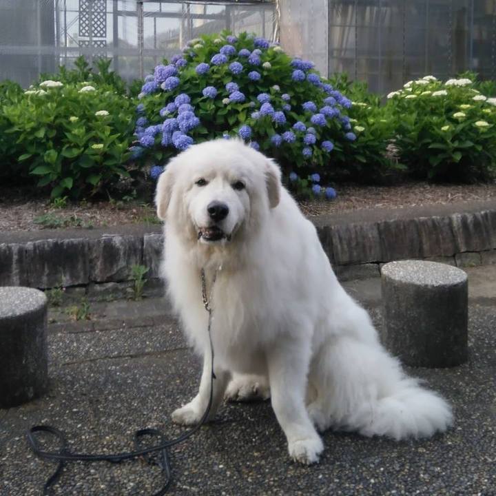 7d7bc598 e0af 4319 bc80 17166e039e6a 1685232361281