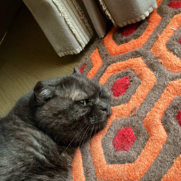 7d7bf36e f77a 491e 9c02 22564fc0ce3e 1630128284263