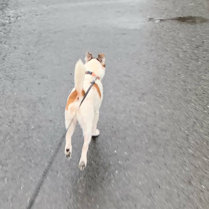 7d7c02b8 fd27 4d85 84bd f7caa7b571b2 1616282257096