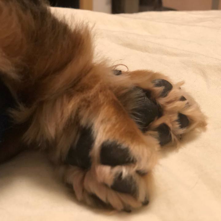 7d7c04bb 03eb 4eaa ab83 bfb2a3b1bd0a 1530226947627