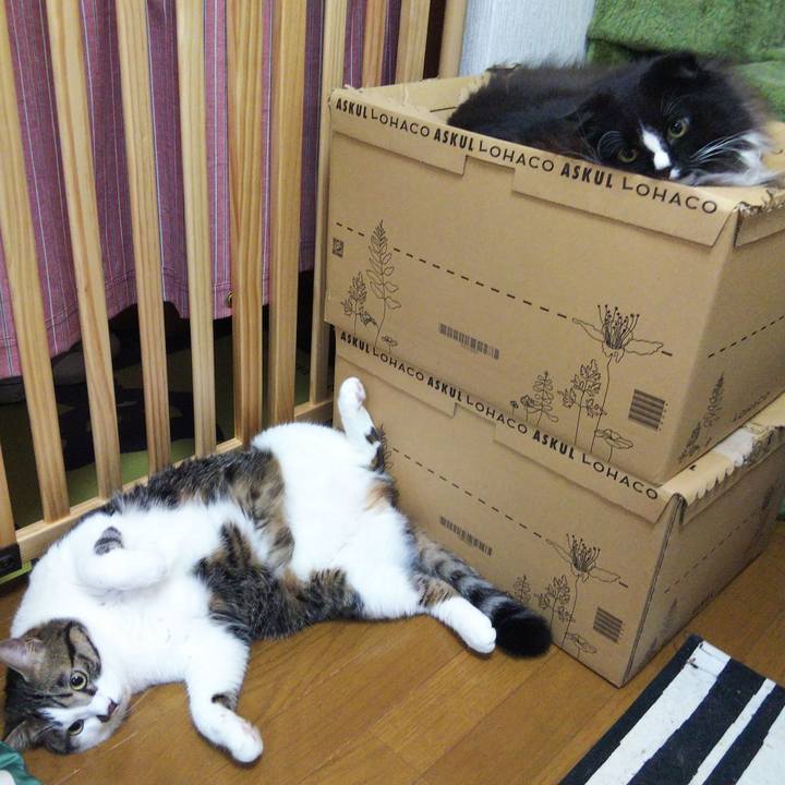 7d7c1084 8343 4bf1 8031 c07102ed0a69 1664969728242