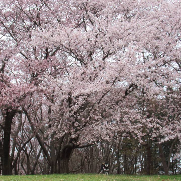 7d7c1445 0301 4168 9adb 1ebb5a0277b8 1554934299208