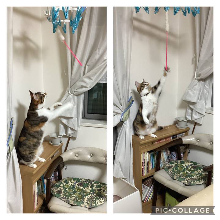 7d7c4cef cc51 4394 8e4b 500987b950fd 1652695115469