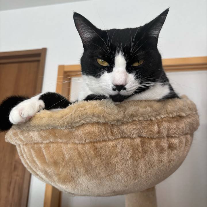 7d7c7c02 b950 4773 a943 6c184a36a889 1763862787929