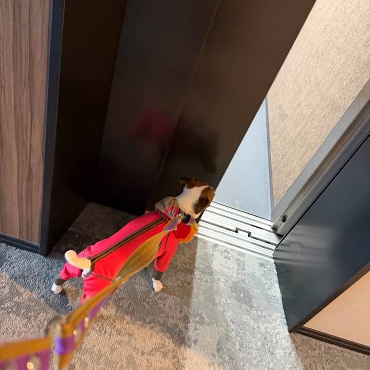 7d7c85fe 31a2 48e0 b045 34a90b8c6513 1768029396120