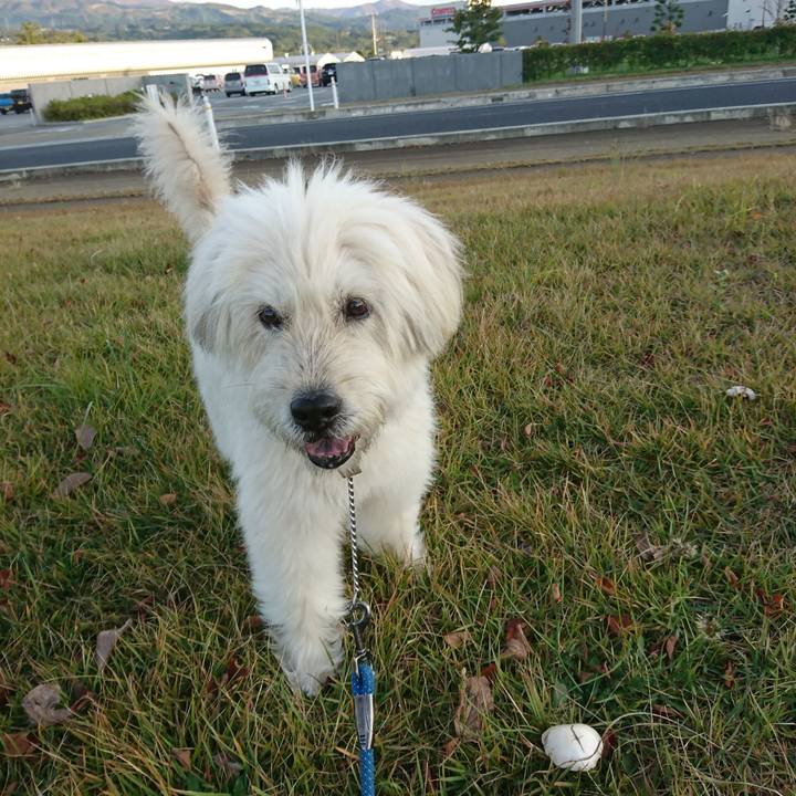 7d7c9645 6372 446c a3f7 a22c0b7b4291 1572043265739