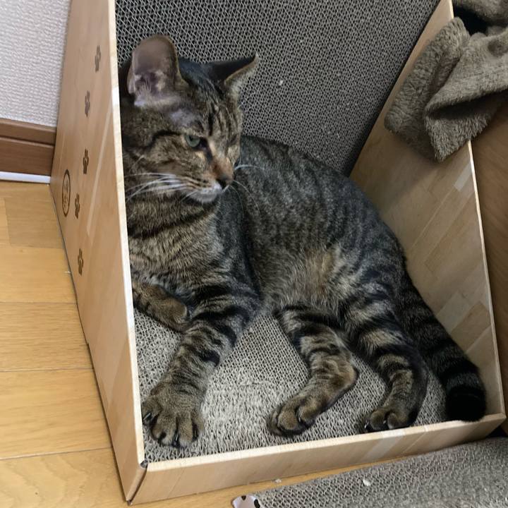 7d7c9d36 a106 4310 abbb 129f10bdd466 1693125286109