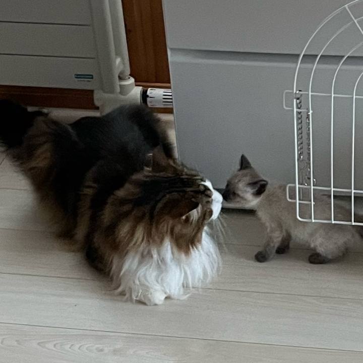 7d7ca5ee 0896 4811 9d7d 342eddcbd3f7 1686602788167