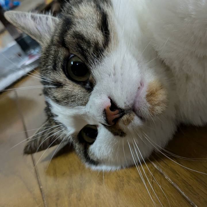 7d7cb640 acee 48be 90e0 674c55d3056c 1718924139542