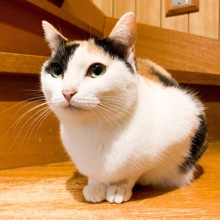 7d7cda18 7605 42ba af60 32467d0f75cc 1546912125384