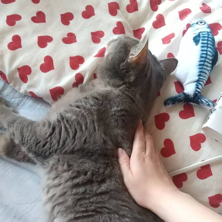 7d7cfd7c 4408 48f3 8c32 0ab040569554 1658636216545