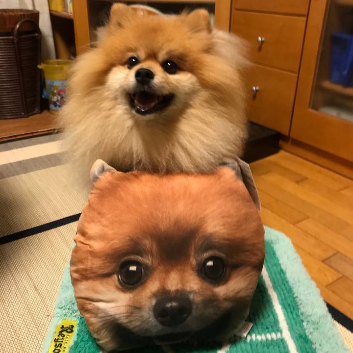 7d7d0867 4840 4689 bc5c 433466c14e17 1535628536857