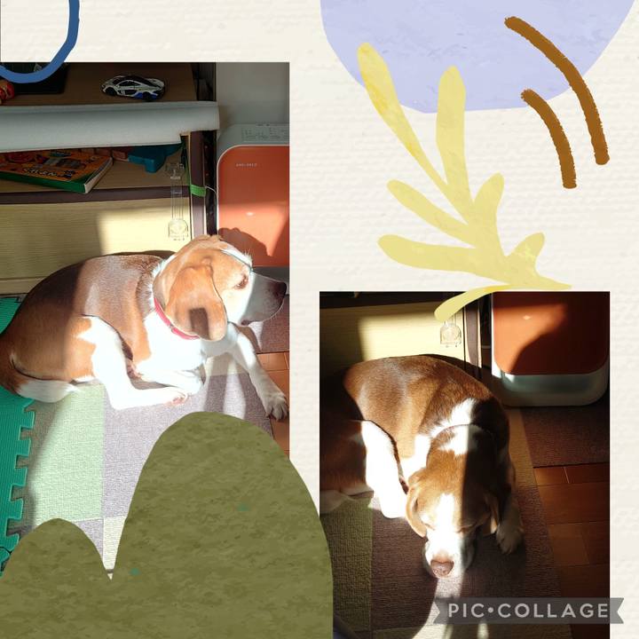 7d7d5b97 dab5 4751 905d beb03d5282be 1702902170058