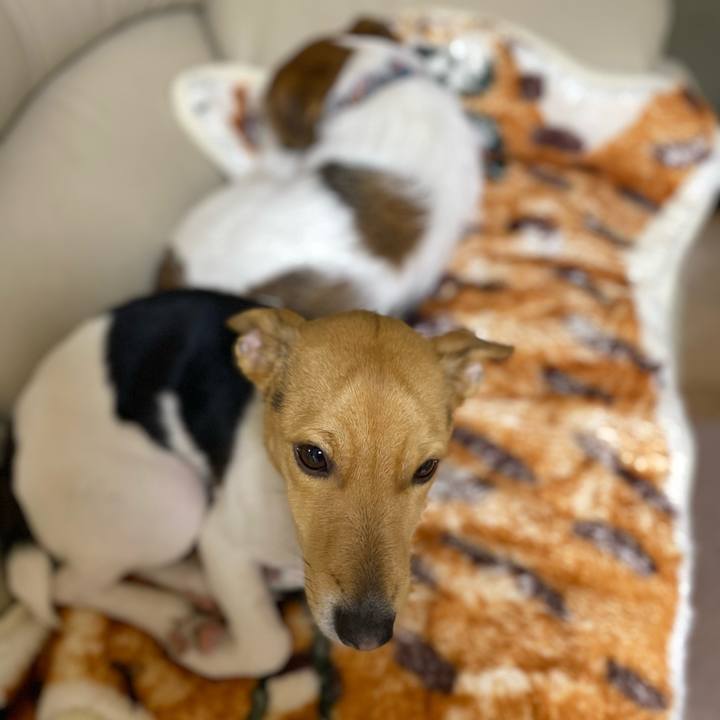 7d7d66bb 8972 4941 b77b e044b6ef99a0 1769121562319