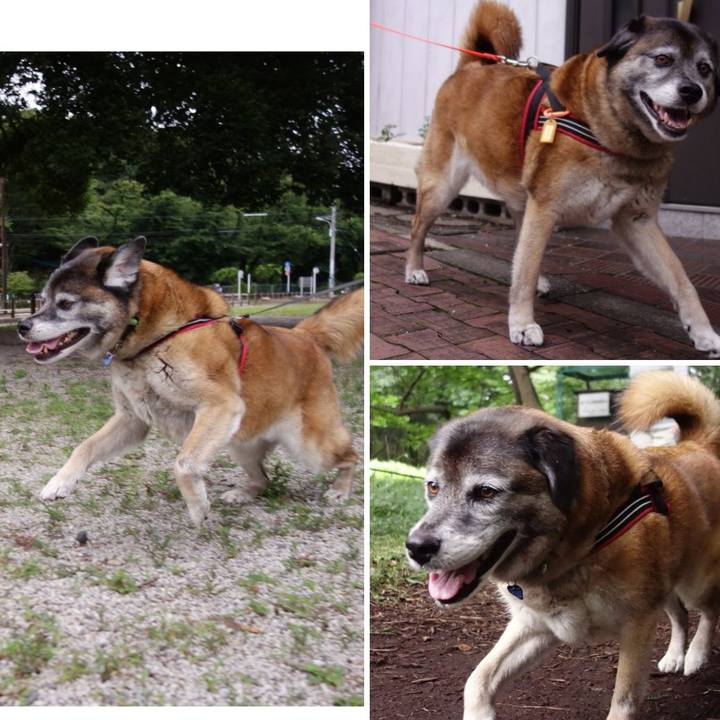 7d7d6a8e 3a81 46cc 8a2e 694e978a945d 1529199642886